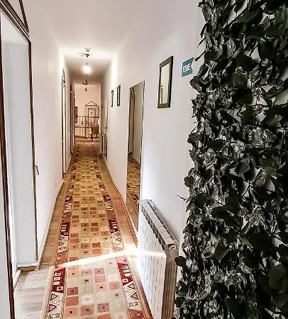 5 Stars High Hostel Bucharest