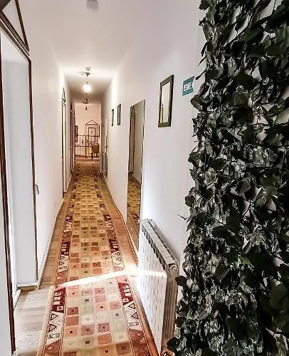 5 Stars High Hostel Bukurešť