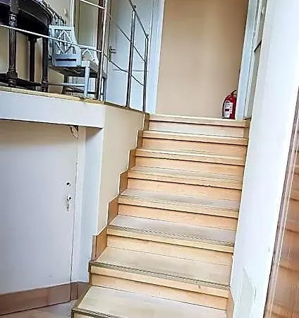 5 Stars High *